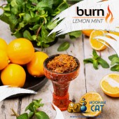 Табак Burn Lemon Mint (Лимон с Мятой) 100г Акцизный